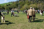 DSC_4747