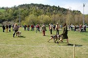 DSC_4949