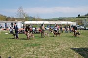 DSC_5047