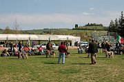 DSC_5084
