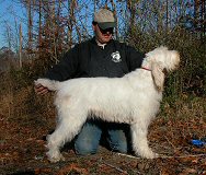 Best of Winners at the 2004 National Specialty