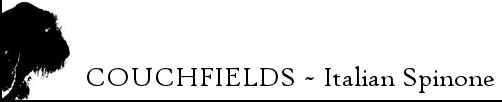 Couchfields Main Page