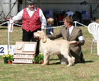 Epithelium Elia Best of Breed