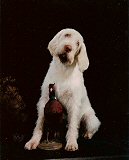 Young Julius with his 1st pheasant mounted