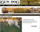 READ ALL ABOUT IT:  GUN DOG, Features the Spinone, August 2008 issue