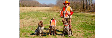 AKC Hunt Test Judge, Karen Luckey with Ari, Jack & Cash