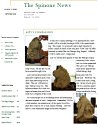 spinone newsletter september 2008