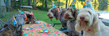 Millie's 10th Birthday Party