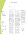 spinone newsletter june 2008