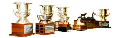 SCOA Trophies