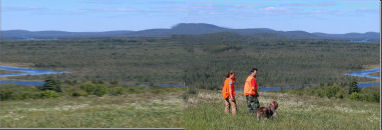 Preparing for Utility