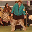 2008 Westminster