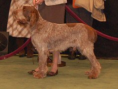 Otello Westminster 2008
