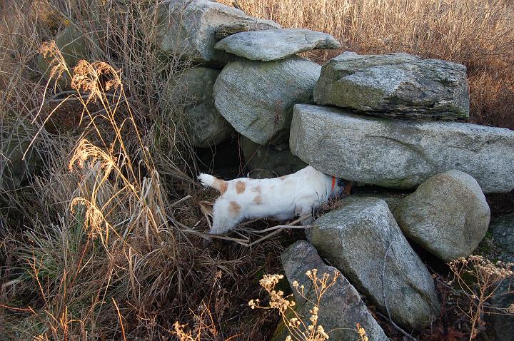 0WinstonGoingInWall.jpg - Winston