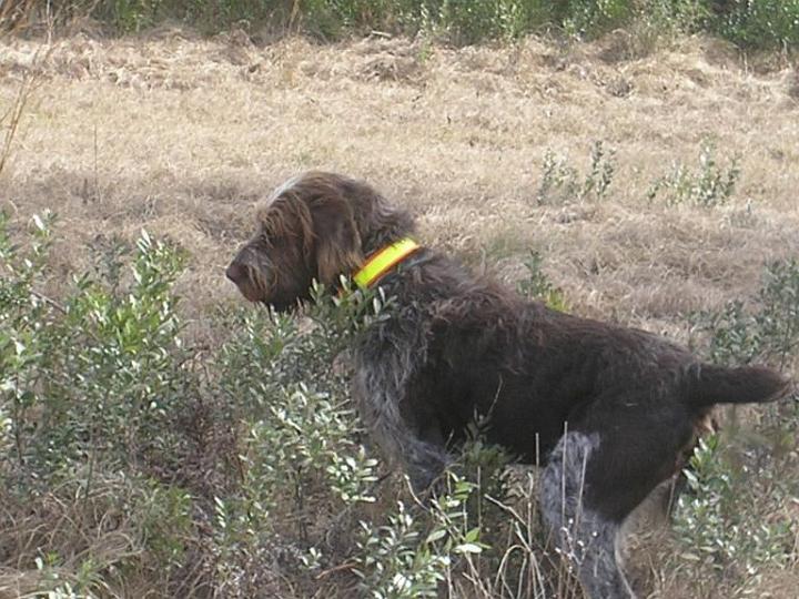 0junstinmonte.jpg - Justin