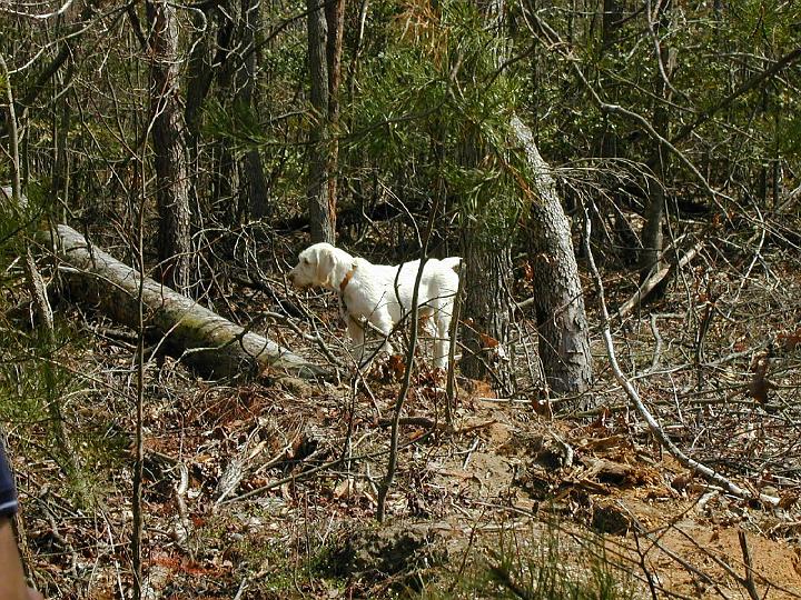 2000P1010002.JPG - Yazzie