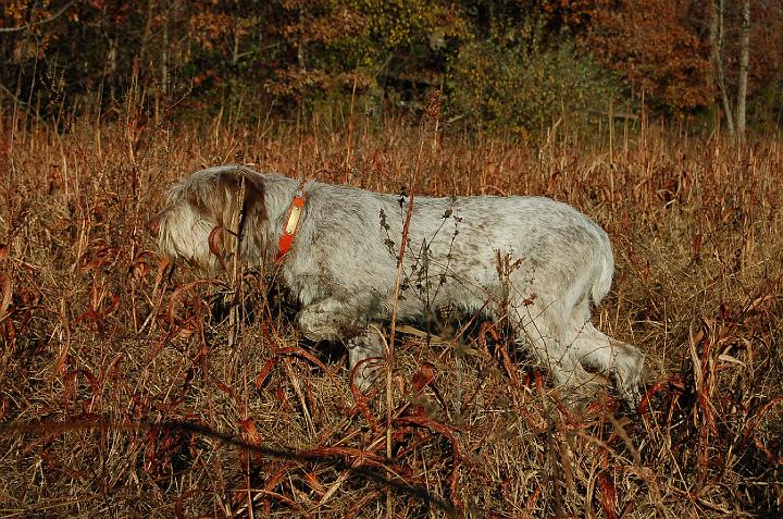 BoulderOnPoint.jpg - Boulder