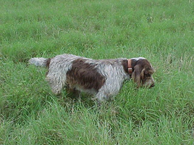 DucaAug2000.jpg - Duca