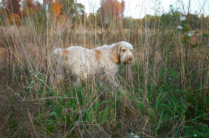 EliaOnPoint3ToPrint.jpg - Elia