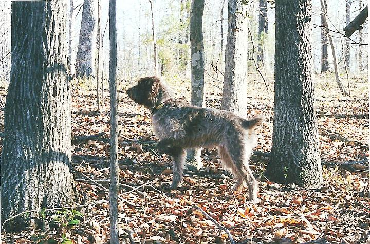 Image41c.jpg - Millie