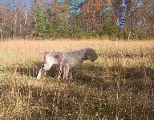PoderipointNoCheckcord.jpg - Poderi
