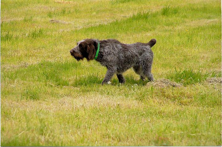 Tucci_at_200.JPG - Tuccio