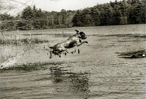 milliewaterentry.jpg - Millie