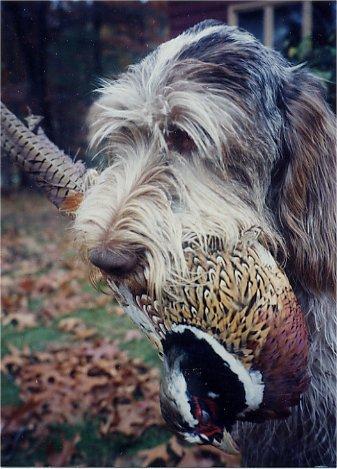 sunrise95.jpg - Sunrise