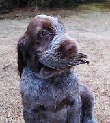 Emailearl_10weeksImage2