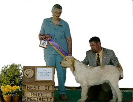 Couchfield Poderi - 2006 Specialty Day 2 Best of Breed